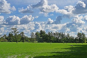 Coulissenlandschap met prachtige wolkenlucht. van Tjamme Vis