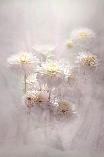 Dahlias . Pastel. Impressionnisme. Boho.