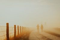 Promenade hivernale brumeuse sur la digue