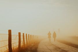 Mistige winterochtendwandeling op de dijk