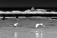 Flying low