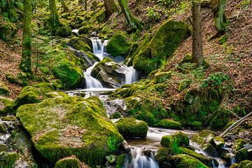Un petit ruisseau dans la Forêt-Noire sur Photo Art Thomas Klee