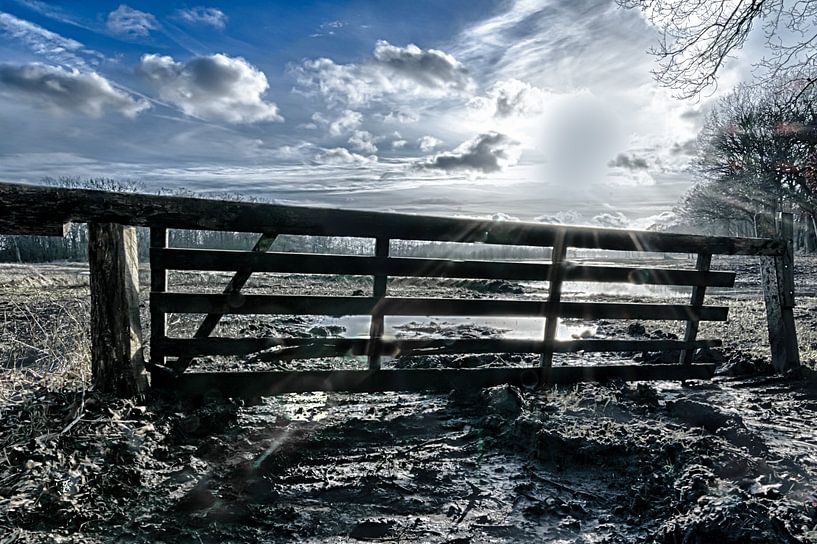 Fence in Winterzon by Andrea de Vries