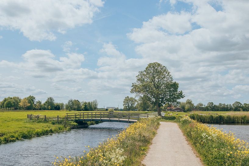 Hollandse weilanden en polders | Blauw, geel, groen van Wandeldingen