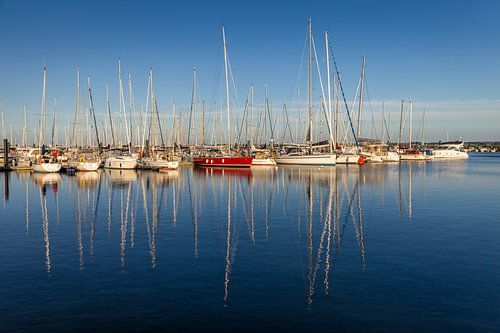 White and red sailing boats in Boltenhagen by Christian Müringer