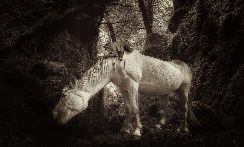 Horse in the Woods par Juliën van de Hoef