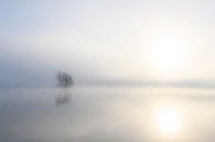 Nevel die opstijgt boven de IJssel tijdens een koude winterochtend van Sjoerd van der Wal Fotografie thumbnail