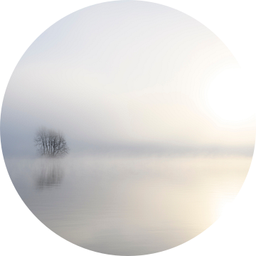 Nevel die opstijgt boven de IJssel tijdens een koude winterochtend van Sjoerd van der Wal Fotografie