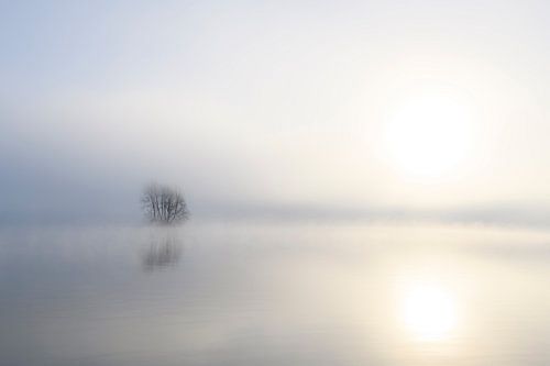 Nevel die opstijgt boven de IJssel tijdens een koude winterochtend