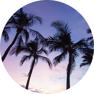 Palmbomen op Hawaii van Milene Bezemer
