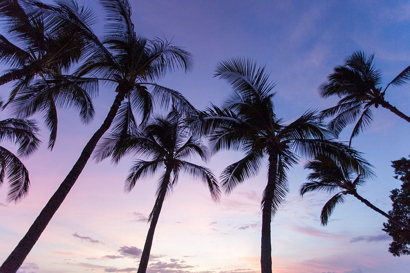 Palmbomen op Hawaii van Milene Bezemer