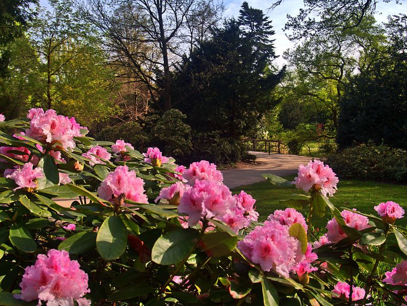Kasteelparkpad van Edgar Schermaul