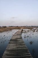 vlonderpad over het water