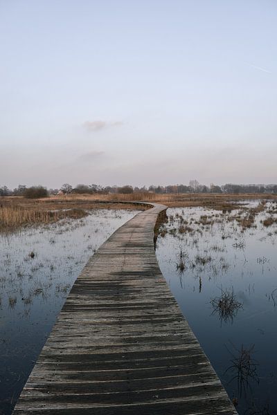 Moorland boardwalk by Jisca Lucia