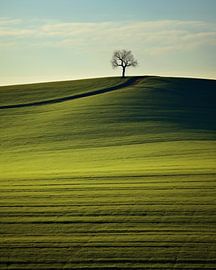 Ästhetischer Minimalismus
