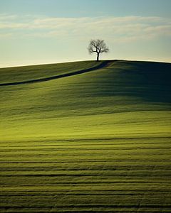Ästhetischer Minimalismus