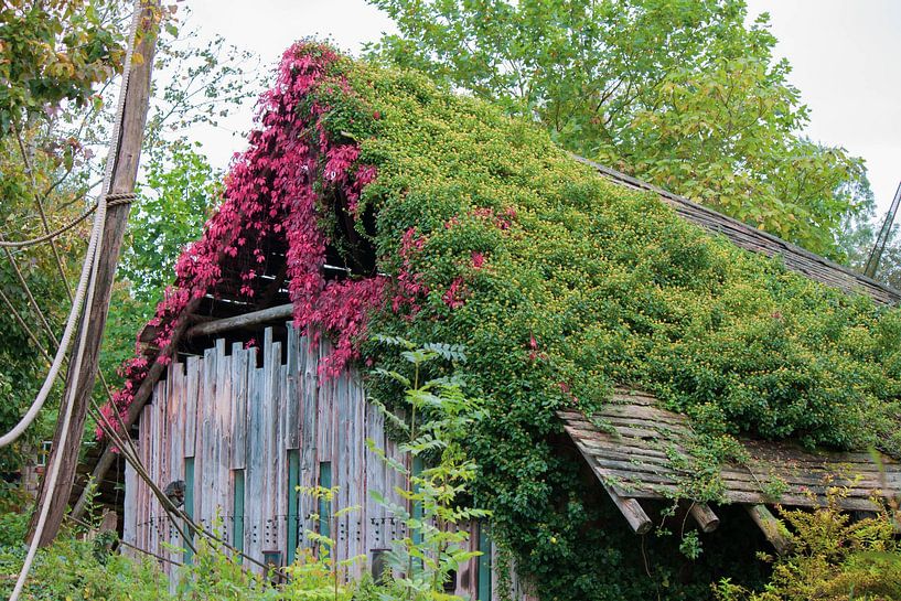 The old barn by Roger Hagelstein