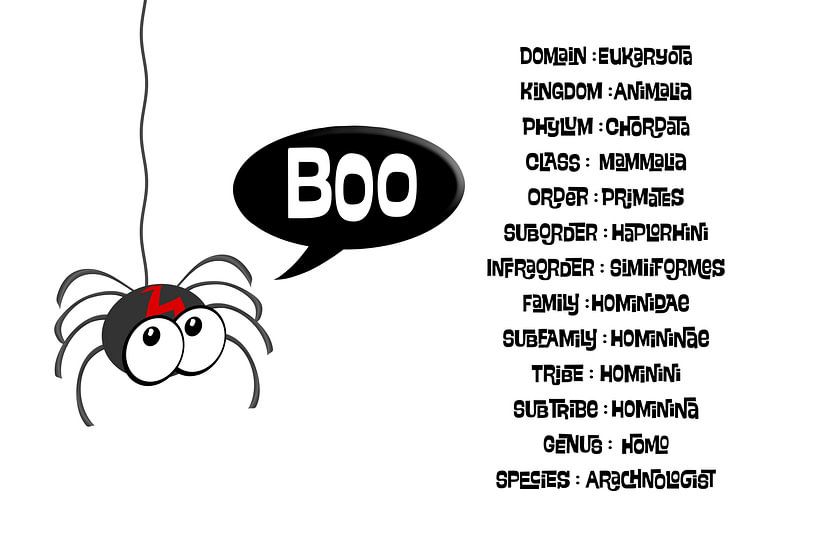 Arachnoloog van Grüntyers .