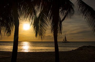 Eagle beach Aruba Sunset