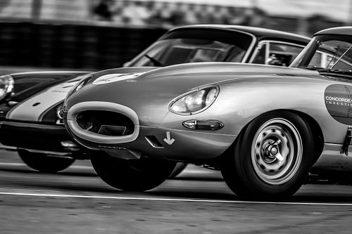 JAGUAR TYPE LE MANS CLASSIC von David BILIEN