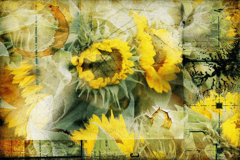 Sunflower van Yvonne Blokland