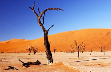 Deadvlei Namibia van W. Woyke