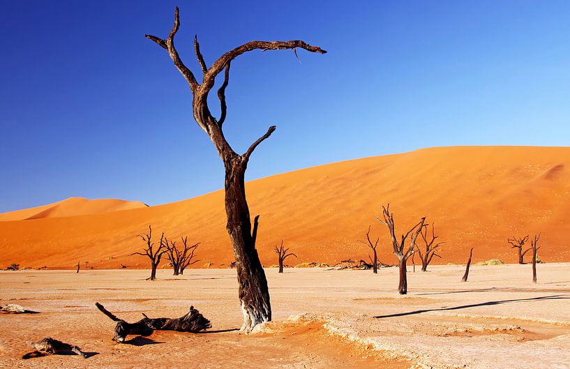 Dead Vlei Namibia van W. Woyke