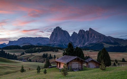 Alpe di Siusi, Zuid-Tirol, Italië