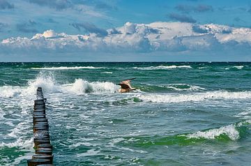 Buhne, which reaches into the Baltic Sea in Zingst. by Martin Köbsch