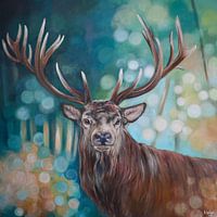 Deer o deer