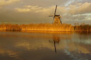 Molen en riet sur Michel van Kooten