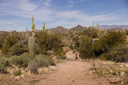 Lost Dutchman State Park in Arizona.