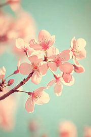 Delicate cherry blossoms in soft light by Poster Art Shop