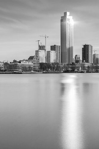 Zalmhaventoren Rotterdam in B&amp;W