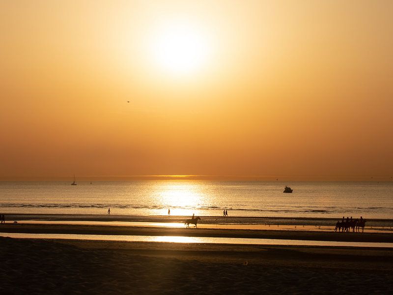 Promenade à cheval au coucher du soleil par Zilt Shot Photography