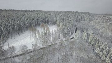 Drone-beeld van een besneeuwd boslandschap van Adrian Meixner