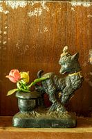 Lamb on a shelf