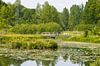 Waterlelies en brug in Arboretum Poort Bulten bij De Lutte van Peter Apers thumbnail