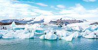 Icelandic Iceberg 