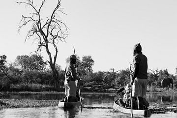 Mokoro tocht Okavango Delta