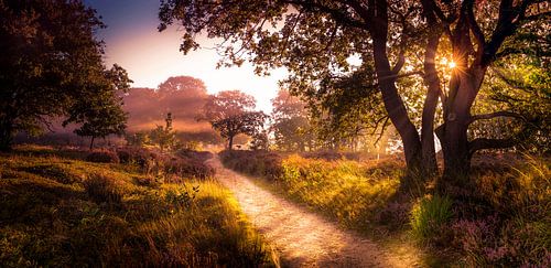Wanderweg auf dem Salland-Kamm
