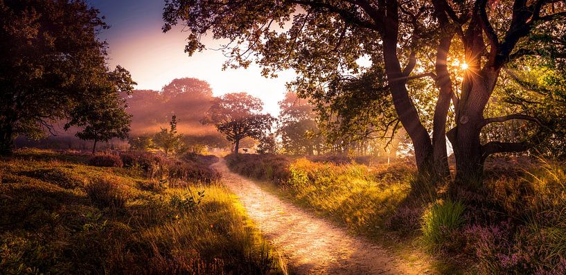 Hiking trail on the Salland Ridge by Martijn van Steenbergen