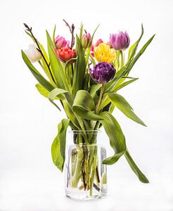 Un bouquet de tulipes mélangées dans un vase