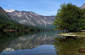 Bohinj Slovenie van Richard Wareham