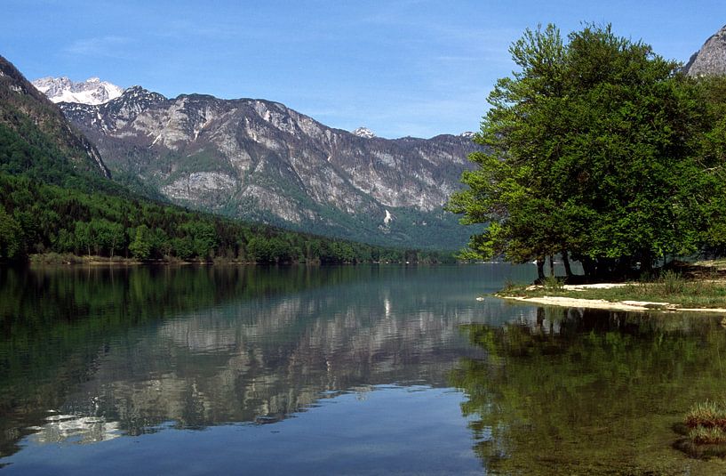 Bohinj Slovenia by Richard Wareham