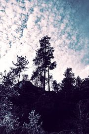 Phantasie Kirnitzschklamm und Kirnitzschtal. Wanderung und Kanufahrt. von Jakob Baranowski - Photography - Video - Photoshop