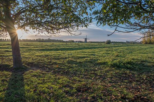 De Marsch(molen) Lienden