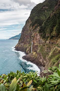 Weelderige schoonheid: de Seixal waterval | Madeira van Daan Duvillier | Dsquared Photography