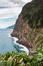 Lush beauty: the Seixal waterfall | Madeira by Daan Duvillier | Dsquared Photography thumbnail