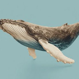 Baleine dans l'espace bleu silencieux sur Eva Lee